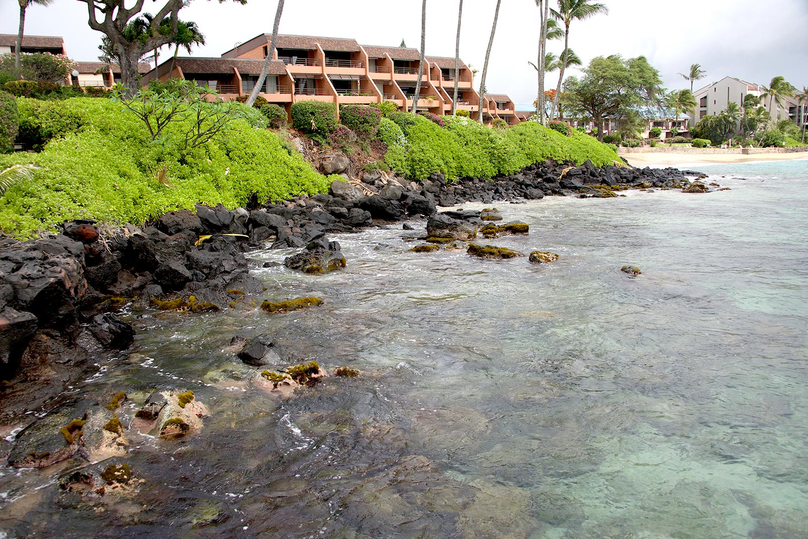 Kuleana Club Maui timeshare resales